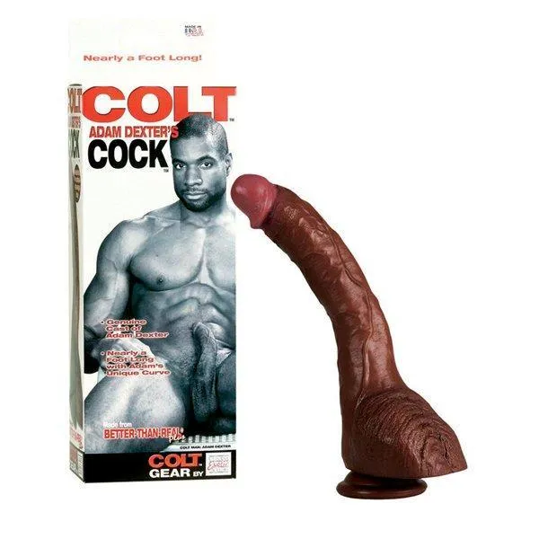 Colt Adam Dexter's Cock