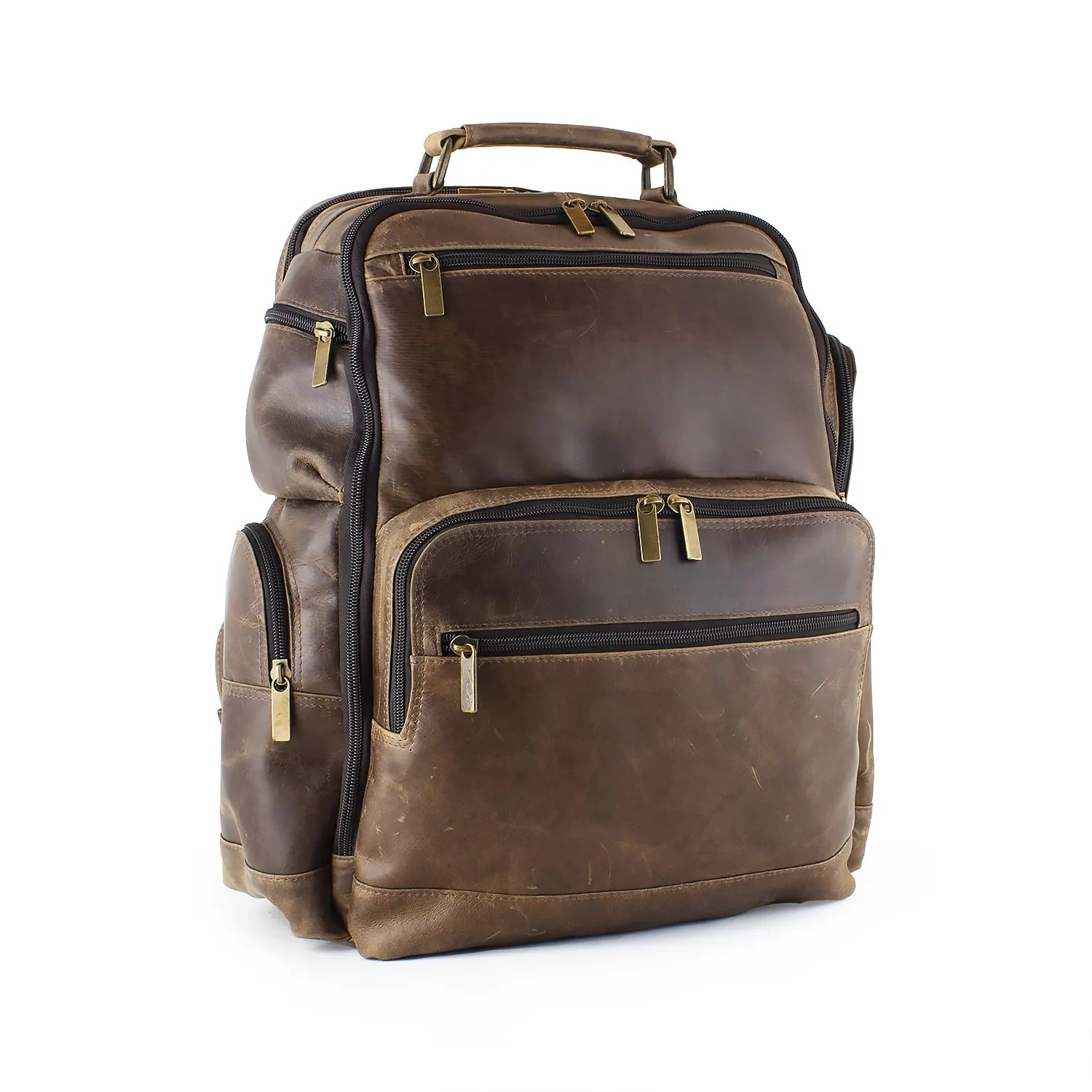 DayTrekr Bomber Jacket Distressed Leather Backpack