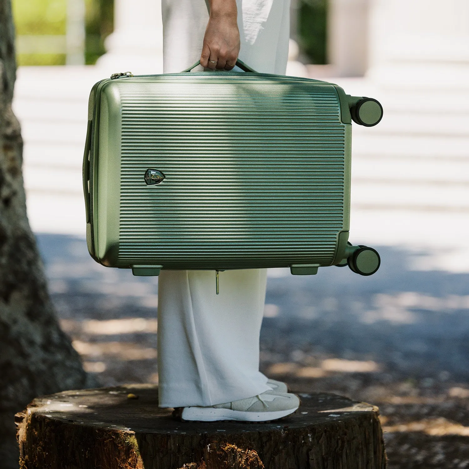 Earth Tones 21.5 Inch Carry-on Luggage | Spinner Luggage