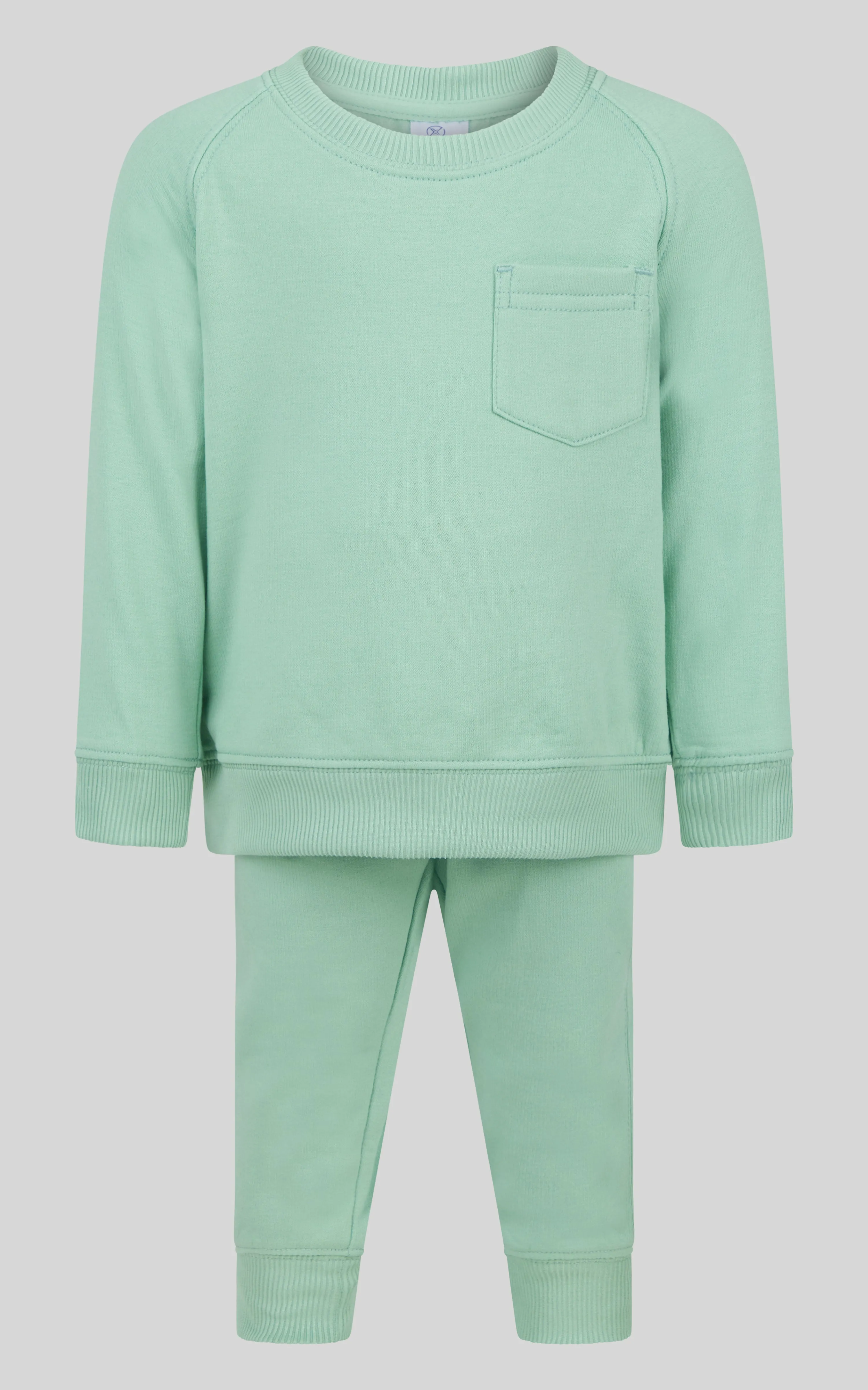 Infant Boys 2 PC Terry Sweatshirt and Jogger Set
