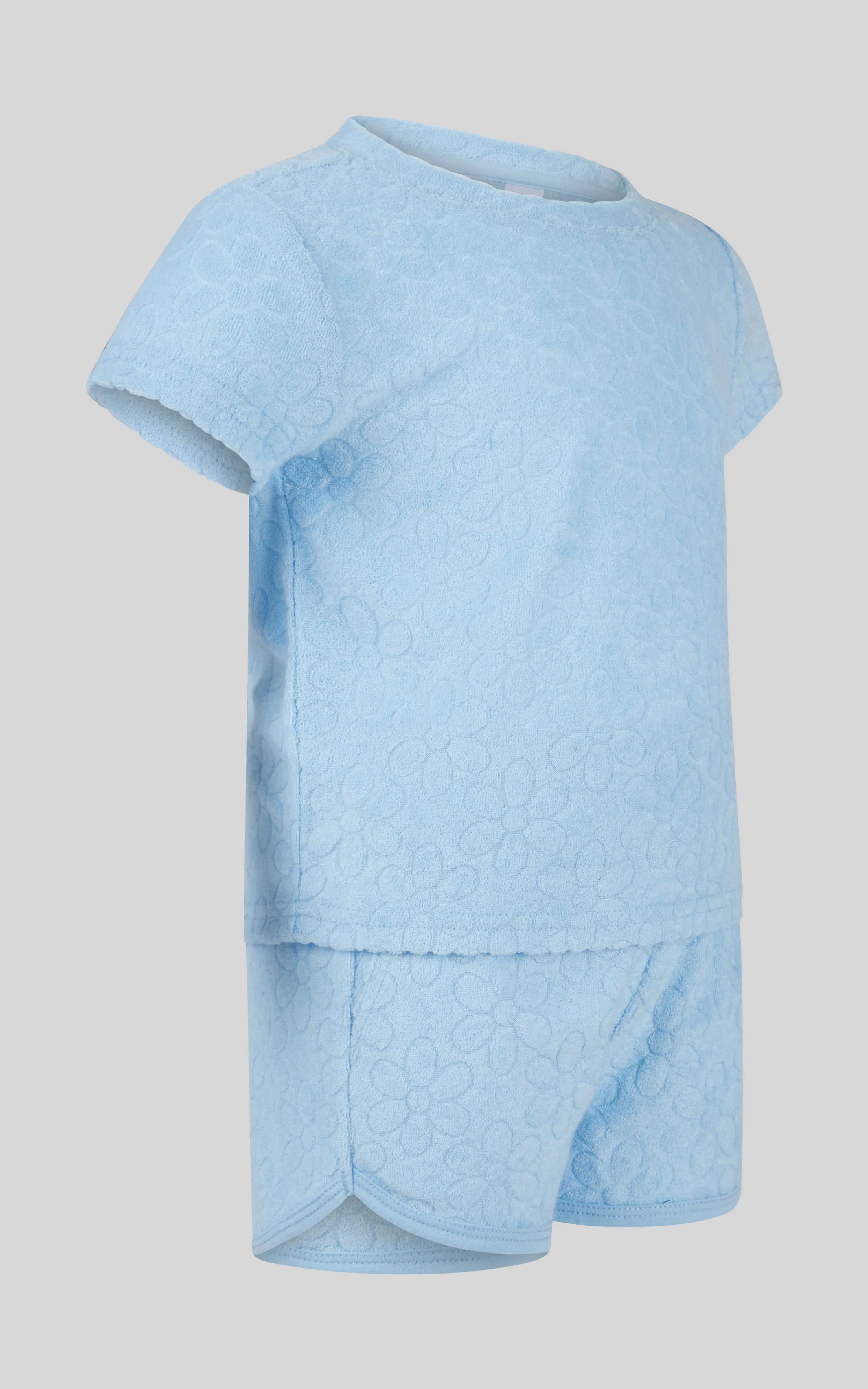 Toddler Girls 2 PC Towel Terry Short Sleeve Top and Dolphin Short